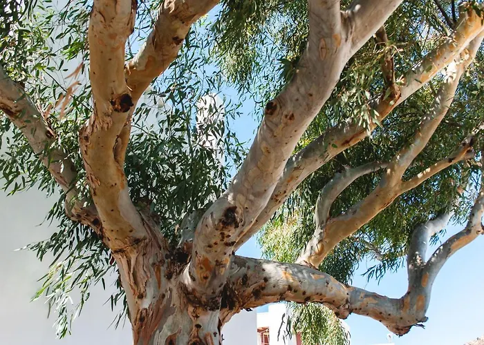 Blue & White: An Absolute Aegean Dream House Galini (Naxos)